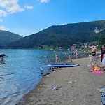 Tiny 1 Lakeforest Wellness * デディンキ
